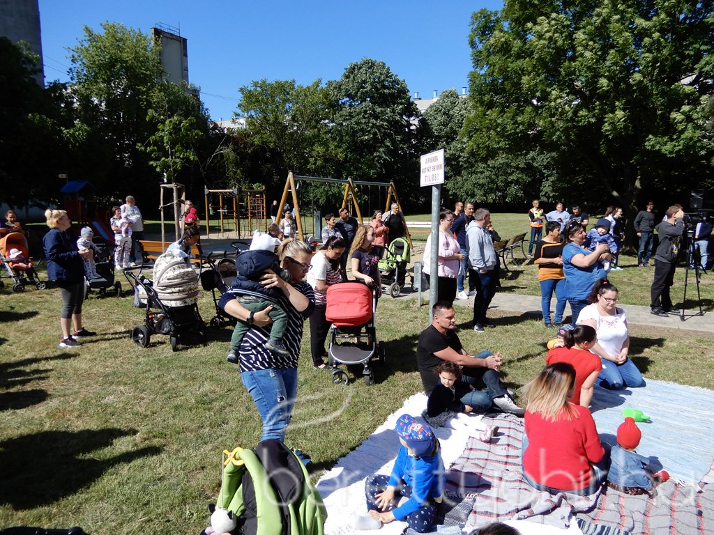 Életfa ültetés a város napján 25